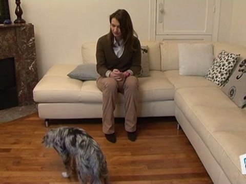 Vie Pratique : Dresser son chien : coucher