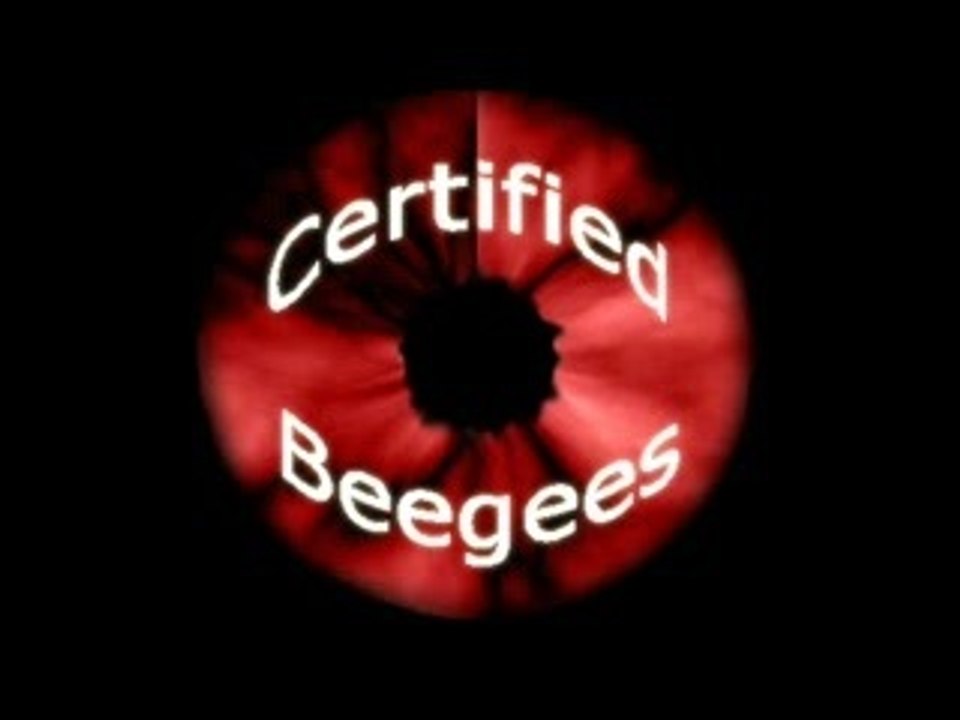 Beegees 4