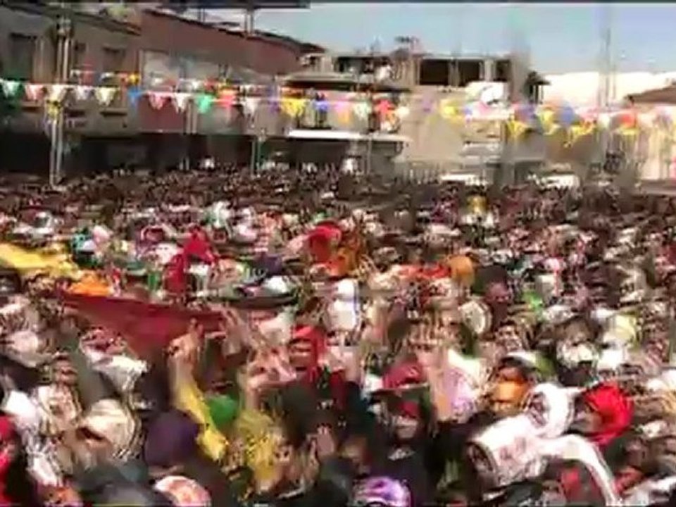 MOV00F_mpeg2video
