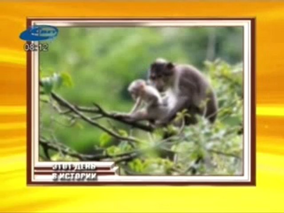 Актуально 27.04.2012