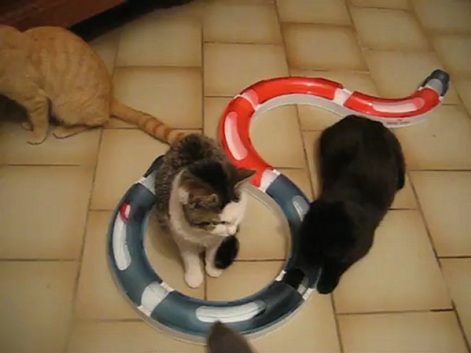 2012 102