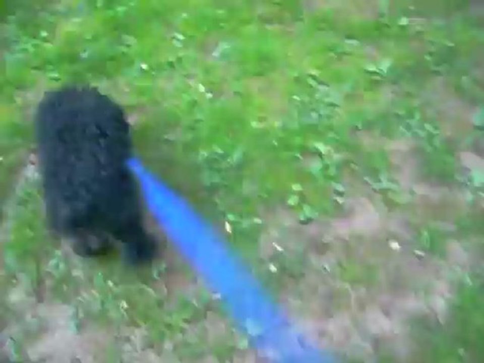 VIDEO 26 04 2012 BALADE ZEBULON