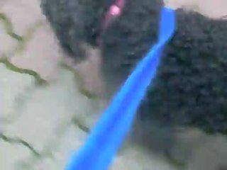 VIDEO 26 04 2012 003 ZEBULON balade 2