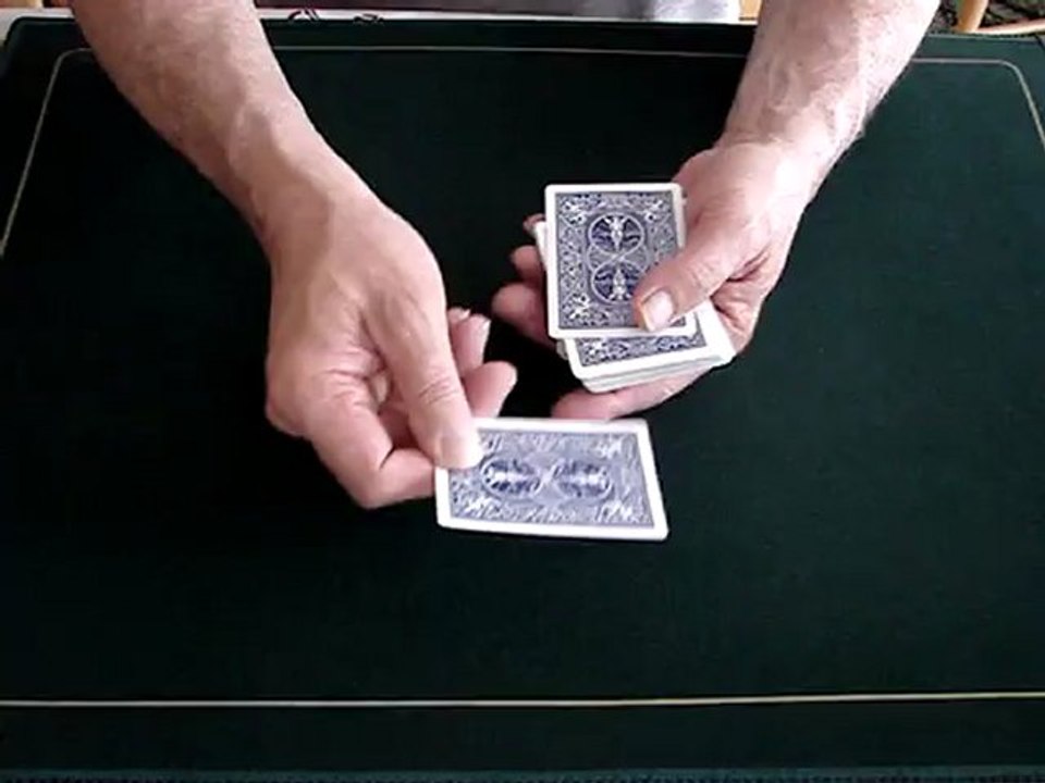 LD SUR FLASH PALM