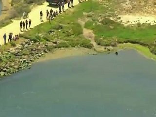 Dolphin trapped in US wetlands