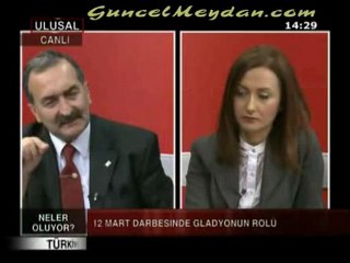 Namik Kemal Boya - 60 ve sonrasi