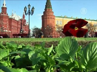 Обзор мировых событий (22-27 апреля)