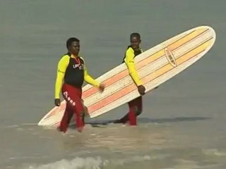 'Chumming' blamed in shark attack death