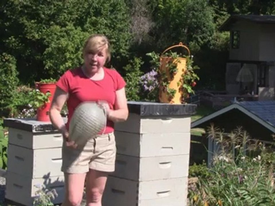 April 28/12 - Senga's Vlog - How to Deter Wasps From ...