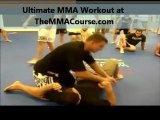 training for mixed martial arts