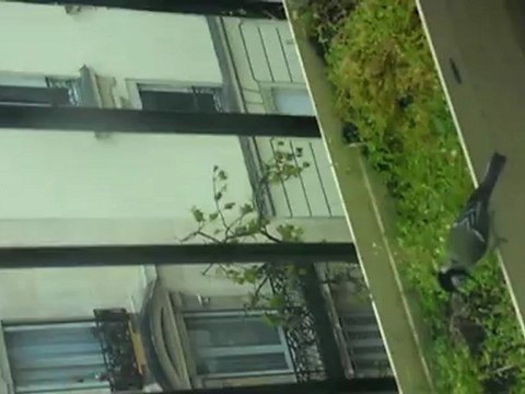 Un de mes visiteurs...