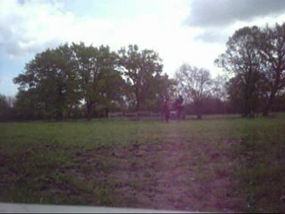 Travail en main Brasiliana (22avril 2012)