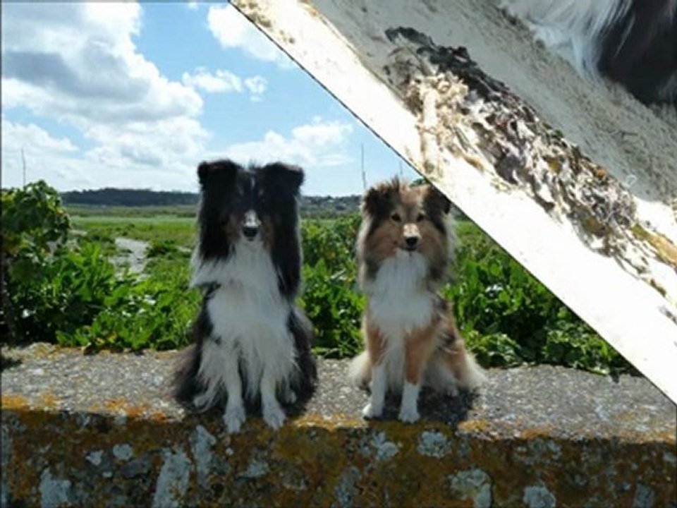 plage 27 avril 2012