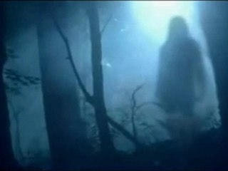 3_3 Prémonition[Phénomènes paranormaux]