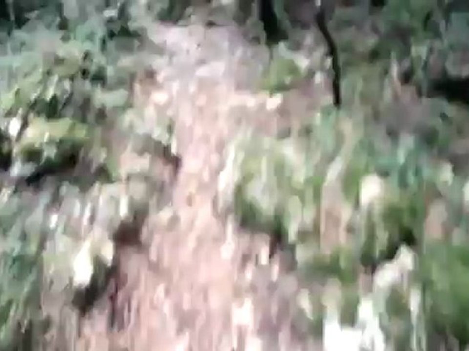SLAB SENSE DESCENTE