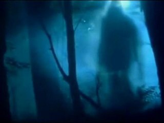 1_3 Prémonition[Phénomènes paranormaux]