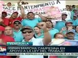 Venezuela: hoy parte gran marcha en apoyo a ley del trabajo