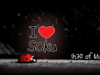 SOku's Tour - Belgium and Switzerland ( Electro House , House )