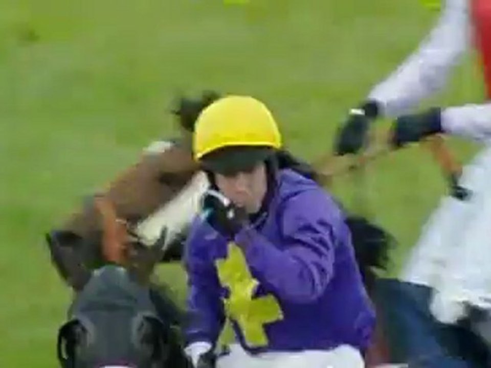 28.04.2012 Punchestown (IRL) 4.Race AES Champion Hurdle 2012 - Group I 3.219 m