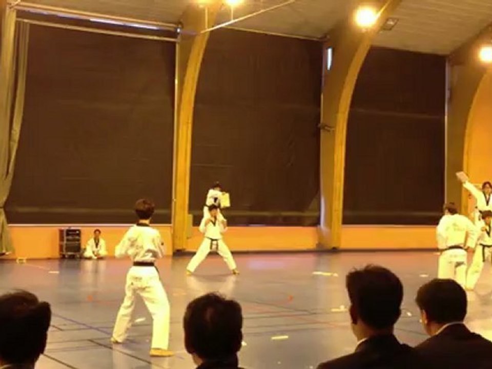 Tae Kwon Do Suwon Team 2012