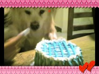 Take Mi Vida ( Te Amo )