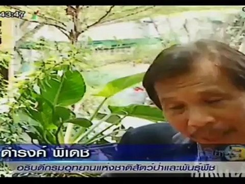 ข่าว3มิติ วันที่ 28 เมษายน 2555