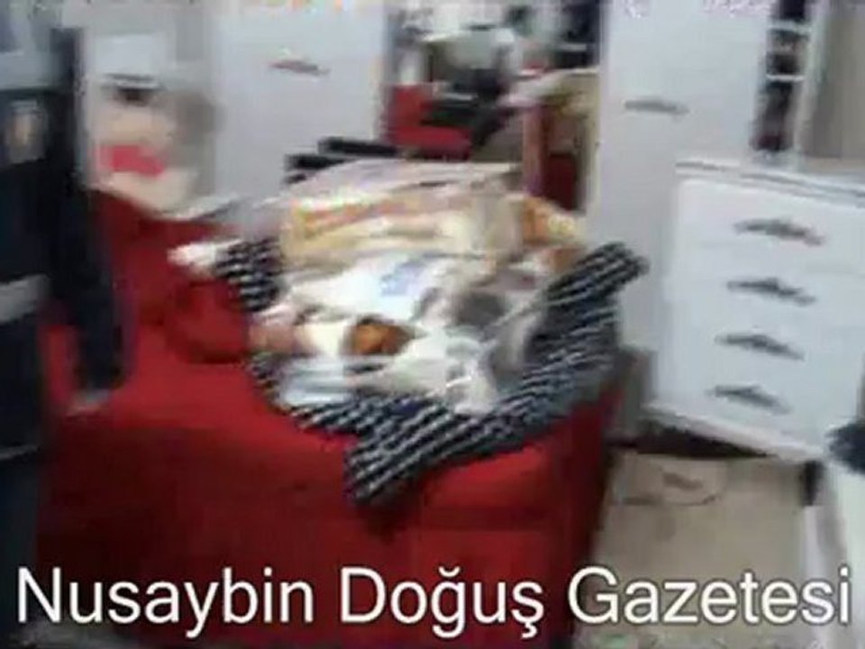 Mardin'de Sahte Dolar Operasyonu