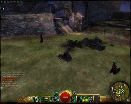 Guild Wars 2 - beta - little bug