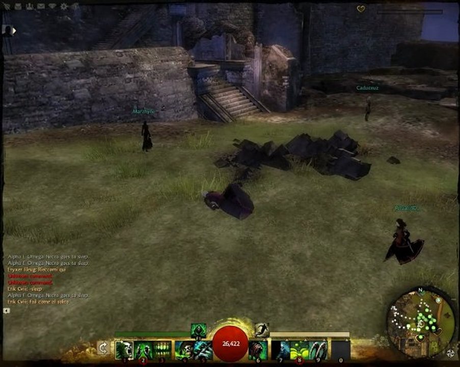 Guild Wars 2 - beta - little bug