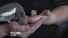 Test Video10