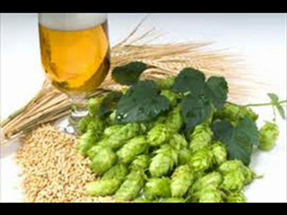 Home-Beer