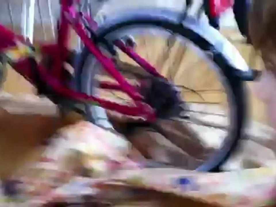 Anniversaire Janvier 2012 - 02