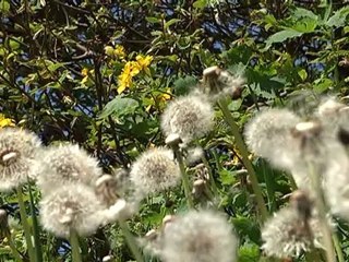 caldo torna la cascata di rozes