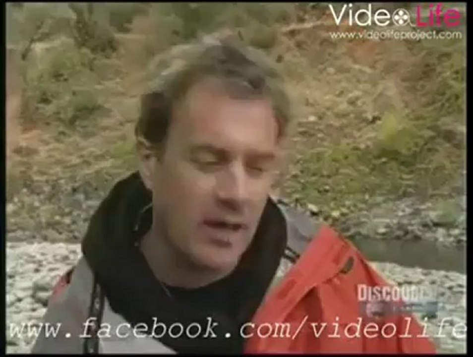 Sırf adneralin 3