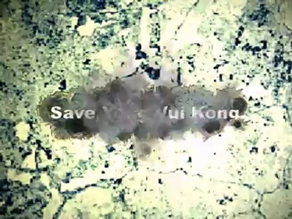 Save Yong Vui Kong
