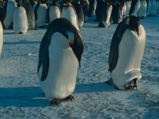 Imparatorun Yolculugu -  (2)