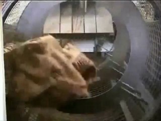 Déssacheuse automatique Goliath : Palamatic Process