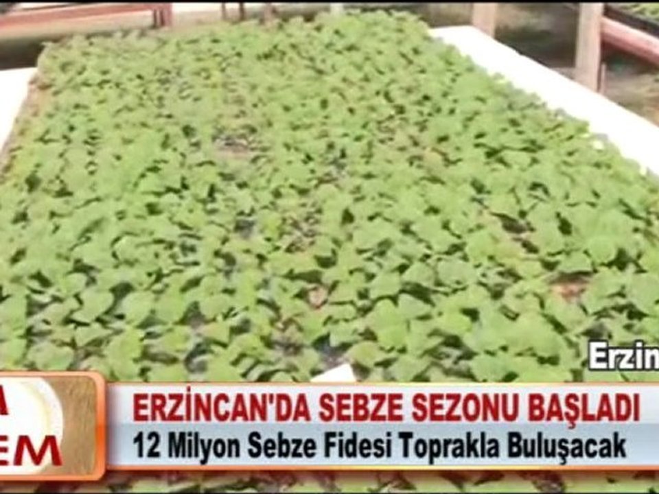 ERZİNCAN’DA SEBZE SEZONU BAŞLADI 30.04.2012