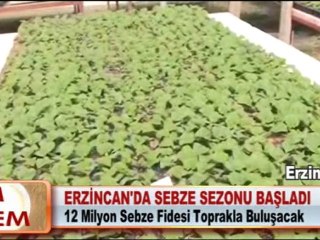 ERZİNCAN’DA SEBZE SEZONU BAŞLADI 30.04.2012
