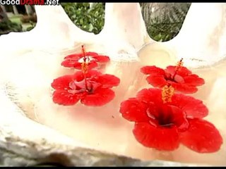 the_rose_-_13_part_2