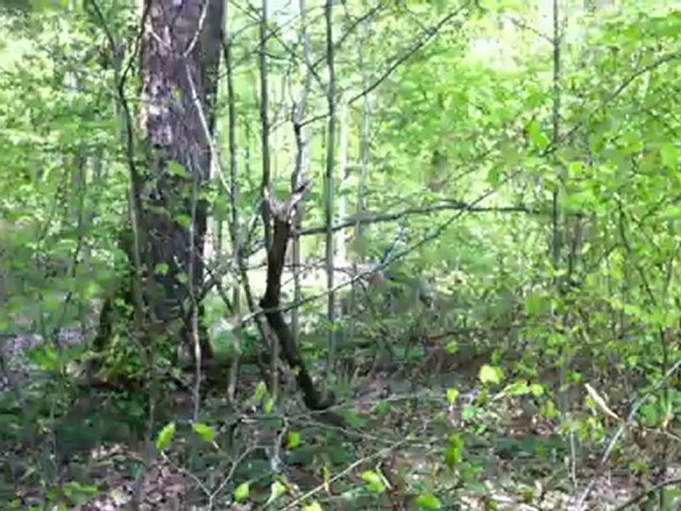 sortie quad 28/04/12