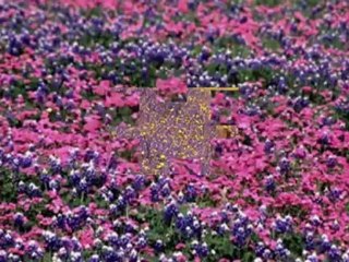 Orhan  HAKALMAZ  "AL  ELİNE  KALBİNİ  "