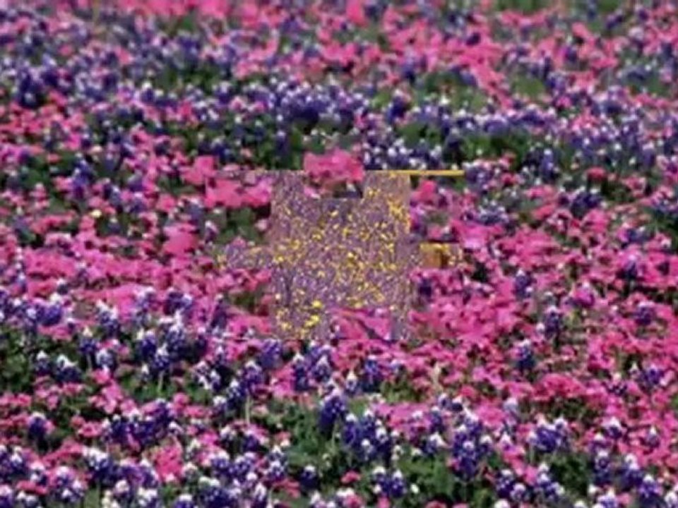 Orhan  HAKALMAZ " AL  ELİNE  KALBİNİ  "