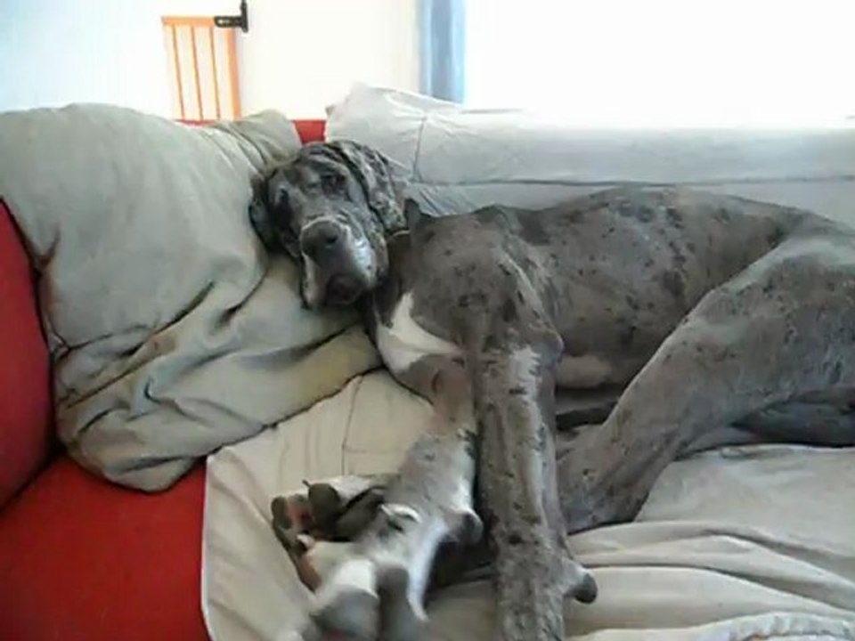 Enola, pas trop dure la vie ?