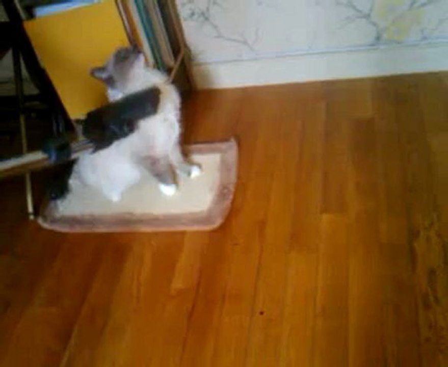 eros et bb aspi