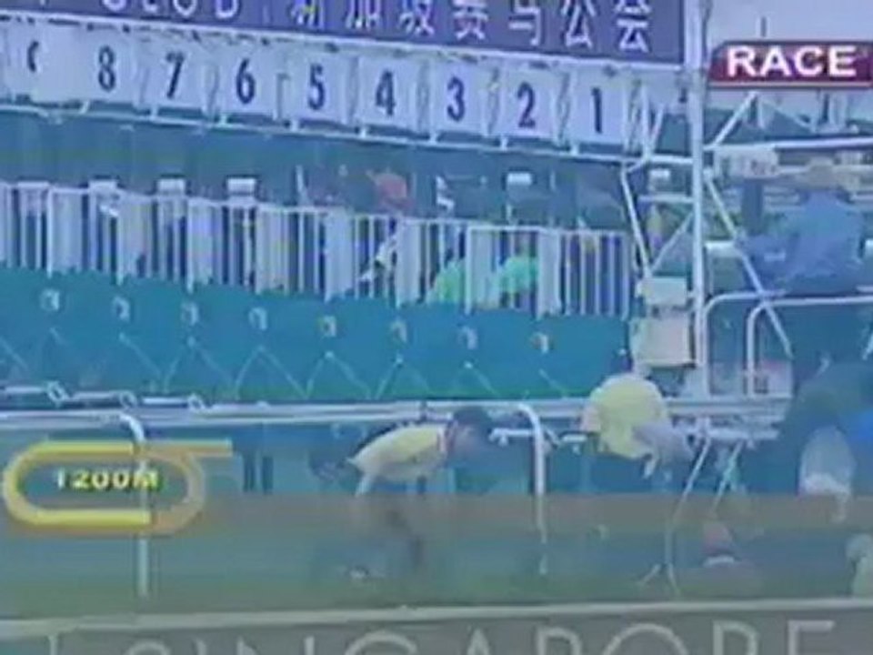 29.04.2012 Kranji (SIN) 10.Race Lion City Cup 2012 - Group I 1.200 m