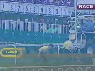 29.04.2012 Kranji (SIN) 10.Race Lion City Cup 2012 - Group I 1.200 m