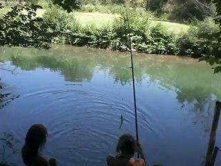 truite des sorgues