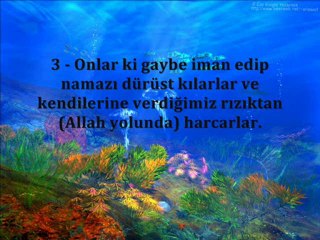 Zalikel Kitabu ( Elif Lam Mim )