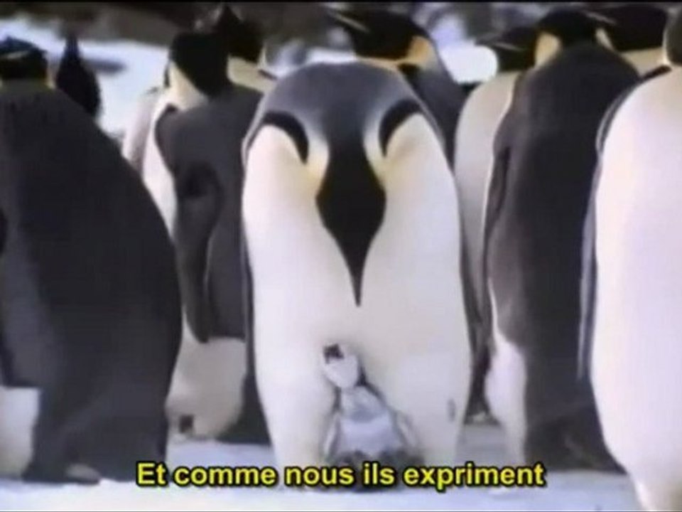 TERRIENS - EARTHLINGS 2de2